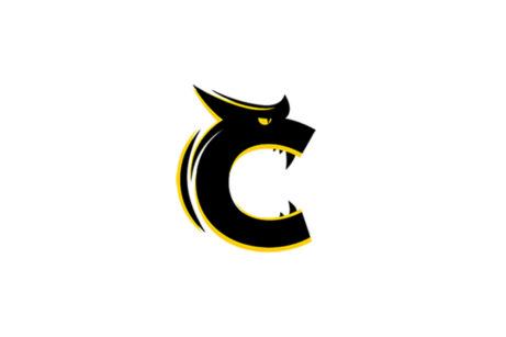 Prodej rodinného domu 258 m²